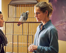 Die Heiland - Wir sind Anwalt (1)