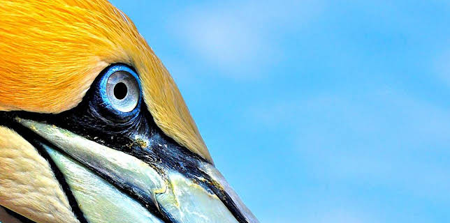 10:05 AM: Deadly 60 (S1) | CBBC | 12/4 2025