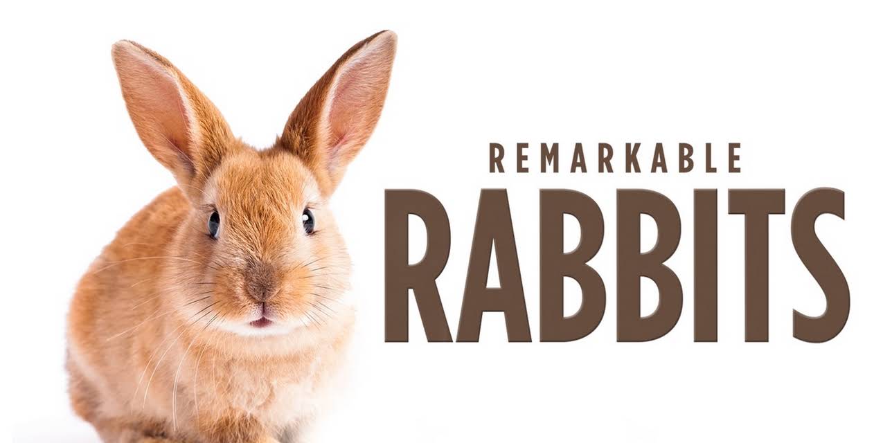 Remarkable Rabbits (1982)