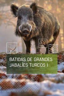 21:20: Batidas de grandes jabalies turcos. 1ª parte | Caza y Pesca | 4/6 2026