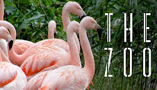 The Zoo (S3 E5)