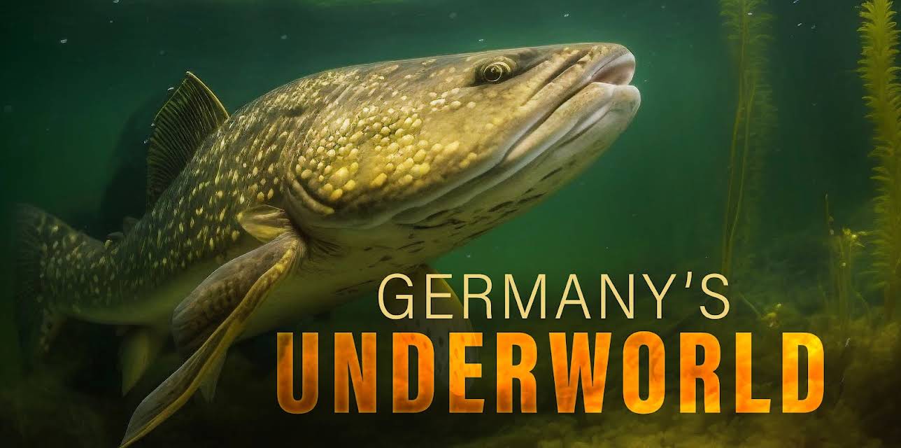 Germanys Underworld