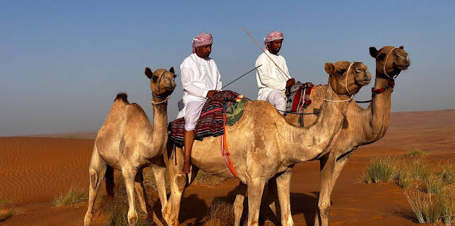 01:49: Abenteuer Oman (1/2) | 3SAT | 11/13 2025