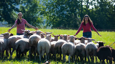 09:00: Tiere bis unters Dach (101) | Das Erste | 6/14 2026
