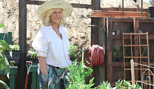 Parks and Recreation (S2 E2)