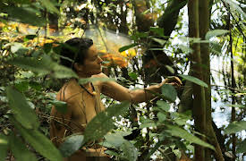 Naked and Afraid: Episode 8