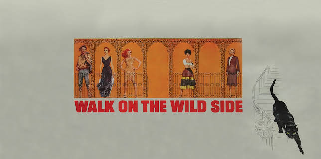 Walk On The Wild Side (1962)