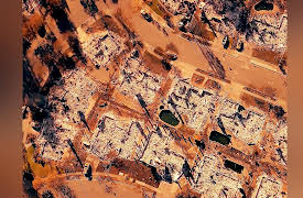 Cyborgs Universe (Exclusive): Awakening!