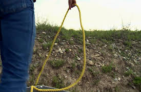 Wardens: Angry Like a Moose