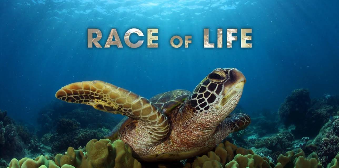 Race of Life