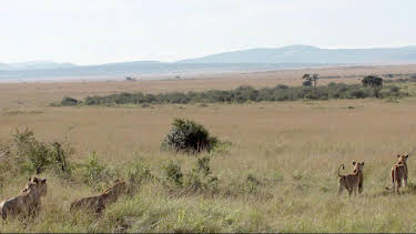 10:00: Stadt Land Kunst Spezial | Arte | 4/11 2026