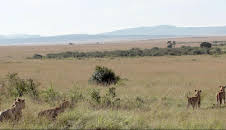 Stadt Land Kunst Spezial