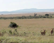 Stadt Land Kunst Spezial