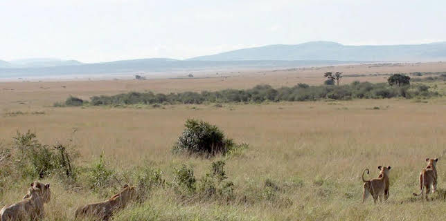 10:06: Stadt Land Kunst Spezial | Arte | 12/6 2025