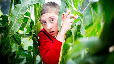 5:20 PM: Little Lunch (S1) | CBBC | 1/19 2026