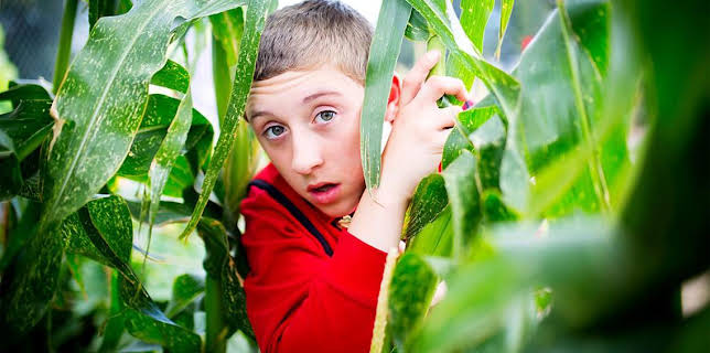 4:20 PM: Little Lunch (S1) | CBBC | 11/5 2025