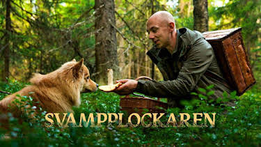 20:00: Svampplockaren | Kunskapskanalen | 9/15 2026