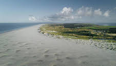 Expeditionen ins Tierreich