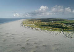 Expeditionen ins Tierreich