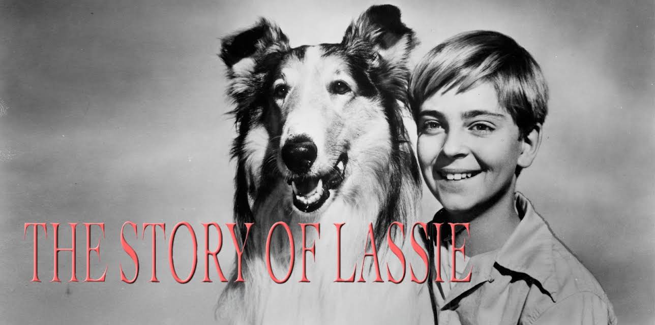 The Hollywood Collection: The Story of Lassie (2009)