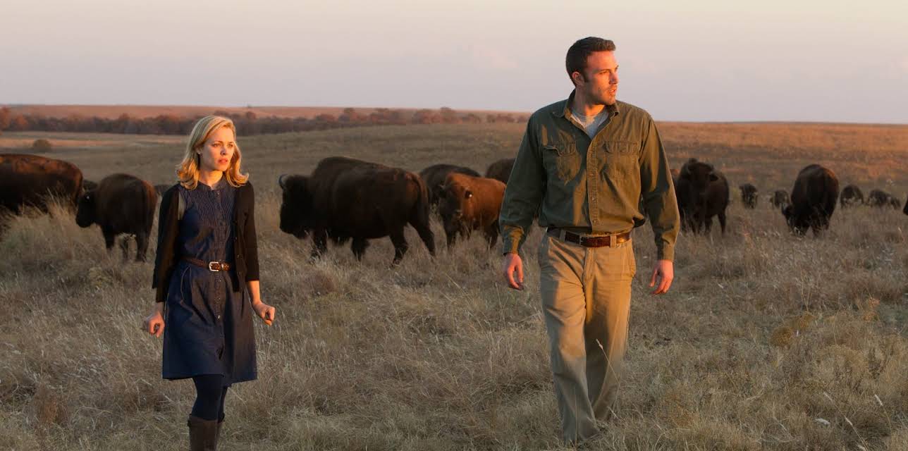 To the Wonder (2013)