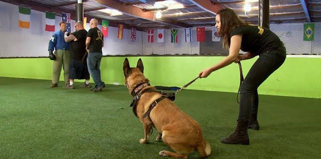 12:55: Auction Hunters - Zwei Asse machen Kasse | ProSieben Maxx | 1/20 2026