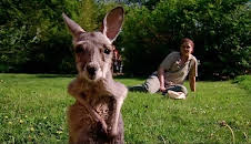 Elefant, Tiger & Co.