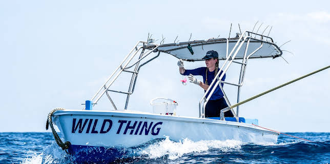 2:00 PM: Cape Carnage: Killer Catch (S1 E10) (S1) | Dave | 12/19 2025