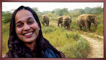 11:30 AM: Planet Defenders (S1) | CBBC | 1/16 2026