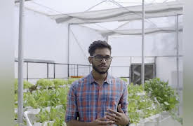 Planet Healers: Supply and Demand