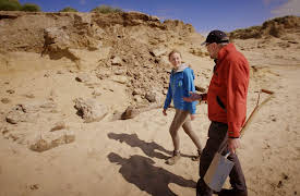 Shoreline Detectives: Ancient Ships, Forts, and Villages: Merseyside
