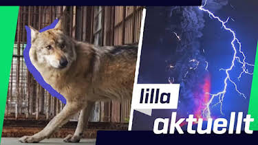19:15: Lilla Aktuellt | Barnkanalen | 5/11 2026