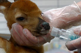 Dr. Barry, Season 1: Barry’s Big Day