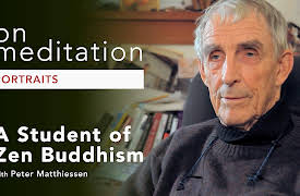 On Meditation Portraits: A Student of Zen Buddhism