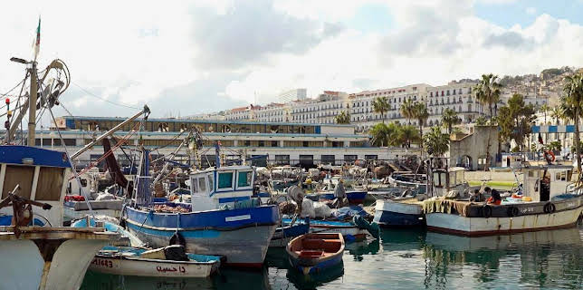 13:10: Stadt Land Kunst | Arte | 1/27 2026