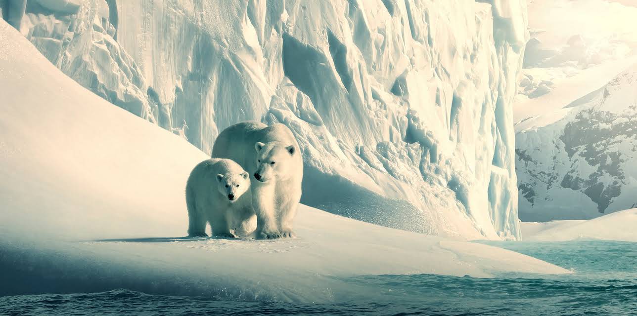 Our Planet