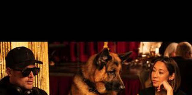 21:07: Hudson y Rex (T4): Ep.15 Pesadilla en Water Street | AXN | 12/11 2025