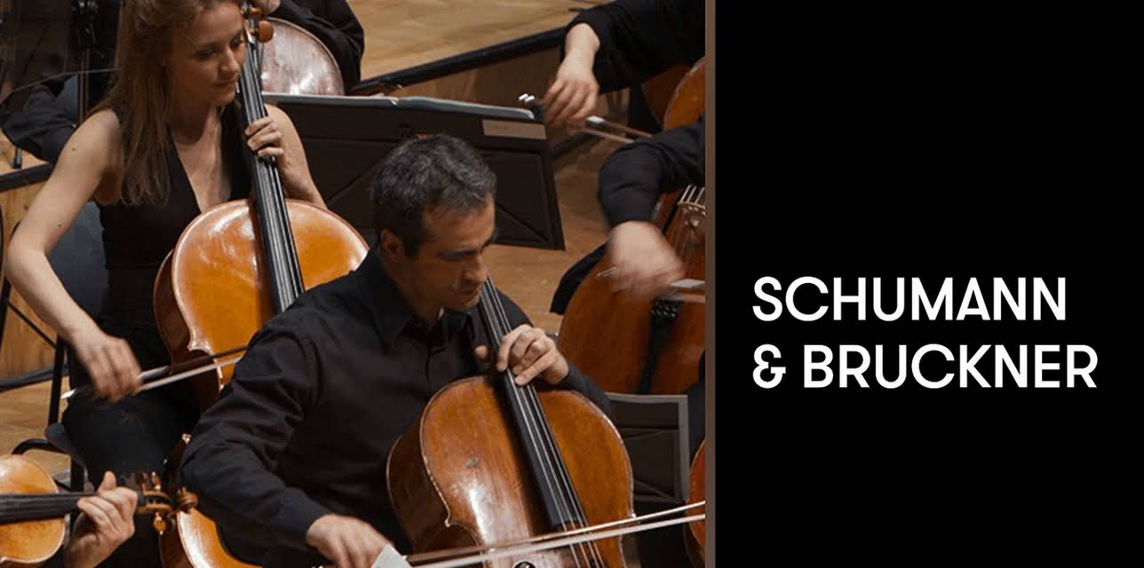 Schumann and Bruckner (2017)