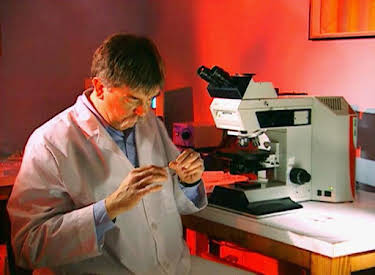 02:20: Medical Detectives - Geheimnisse der Gerichtsmedizin | VOX | 4/22 2026