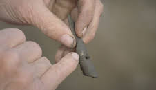 Die Schatzsucher von Oak Island