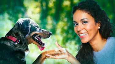 13:15: Hunde und ihre rätselhaften Fähigkeiten | Tagesschau 24 | 12/7 2025