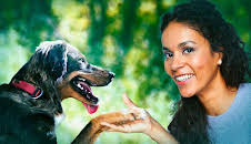 Hunde und ihre rätselhaften Fähigkeiten