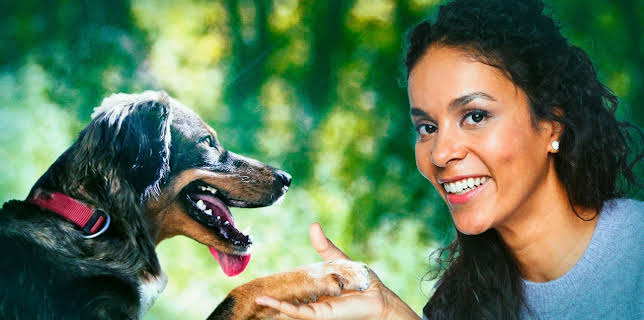 12:15: Hunde und ihre rätselhaften Fähigkeiten | Tagesschau 24 | 12/7 2025