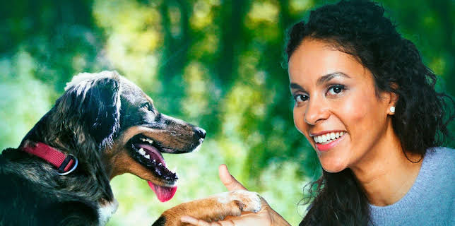 Hunde und ihre rätselhaften Fähigkeiten