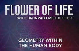 Flower of Life: Geometry within the Human Body