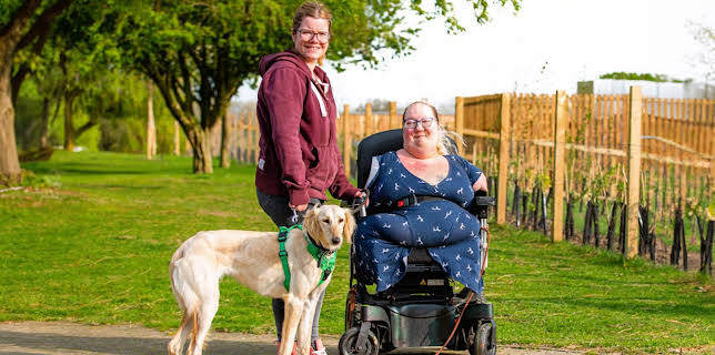 7:55 PM: The Dog House | More 4 | 2/20 2026