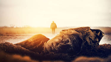 20:55: Arqueología de la muerte: El hombre de Croghan: Asesinato entre la realeza | National Geographic | 6/12 2025