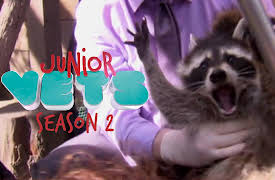 Junior Vets: And the Winner Is