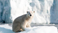Zauber der Jahreszeiten - Spitzbergen