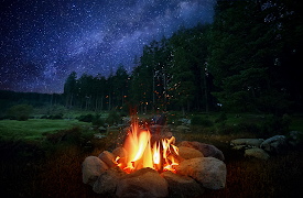 A Very British Yule Log: English Countryside (with Ambient Sounds)